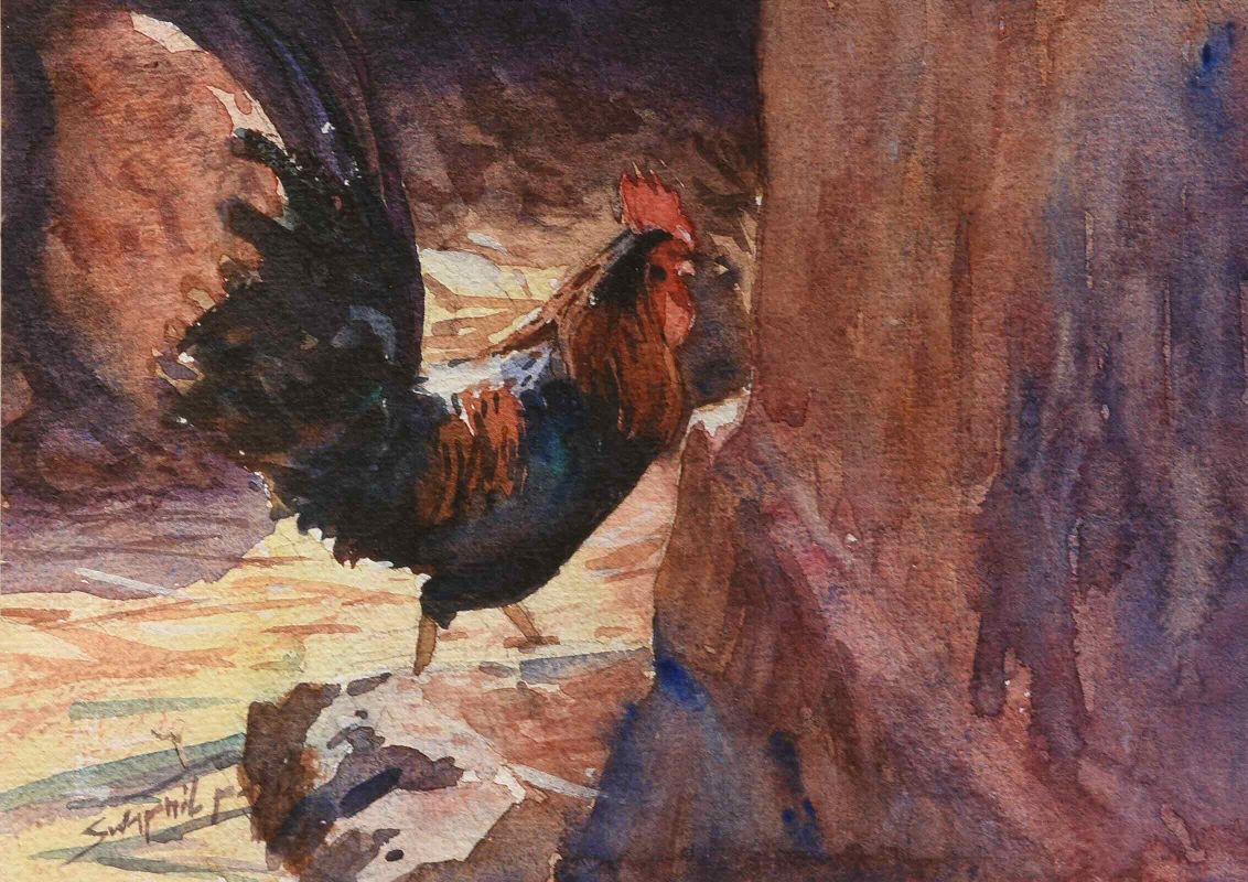 cock