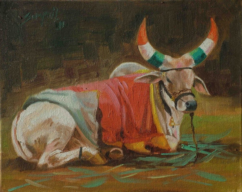 nandi 8x10inch oil on canvas sold