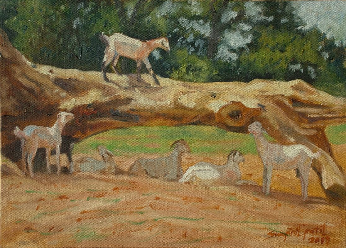 old wood 10x14inch oil on canvas sold