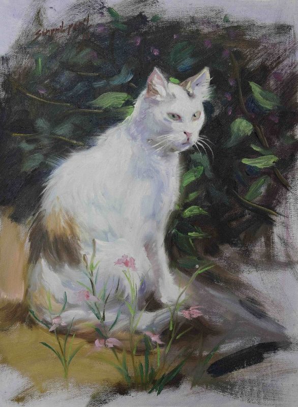 smart 16x12 in oil on canvas rs 20000 2 sold