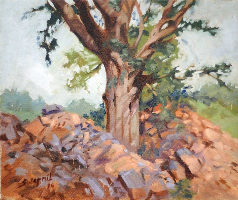 tree 10x12inch oil on canvas price-18000